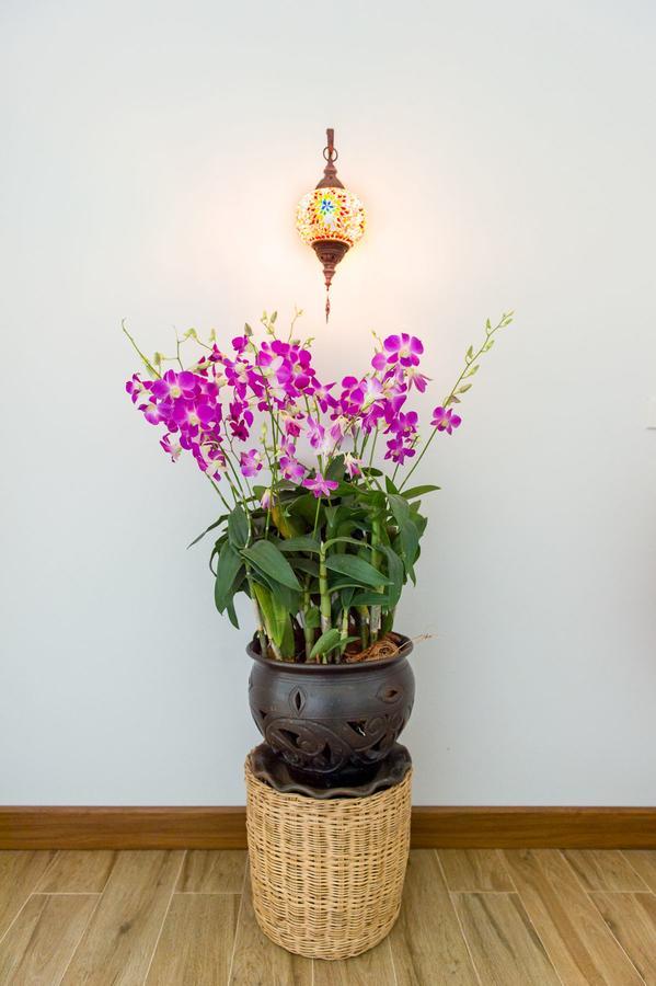 Villa Thai Orchid (Adults Only) Чіангмай Екстер'єр фото